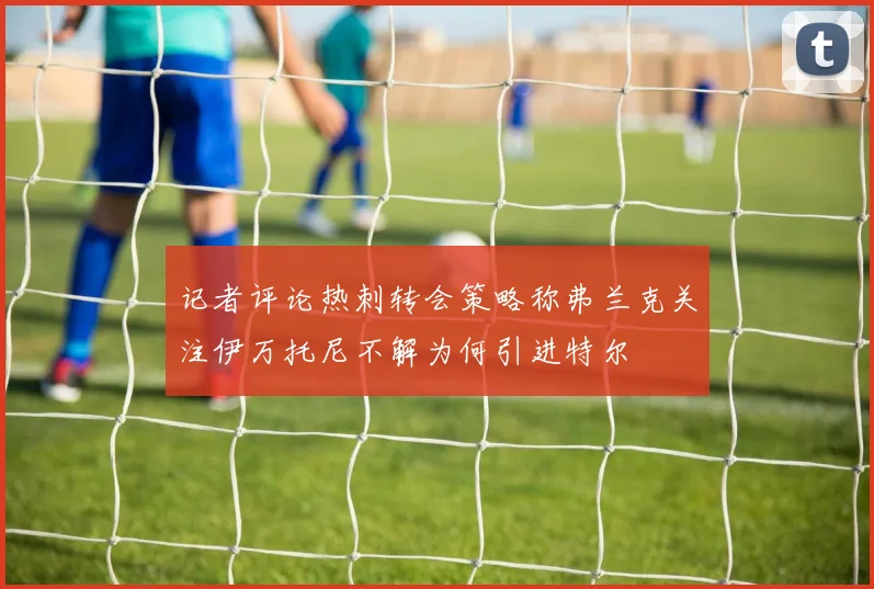 记者评论热刺转会策略称弗兰克关注伊万托尼不解为何引进特尔