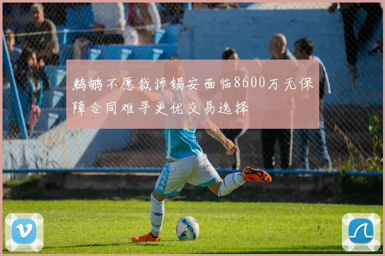 鹈鹕不愿裁掉锡安面临8600万无保障合同难寻更优交易选择